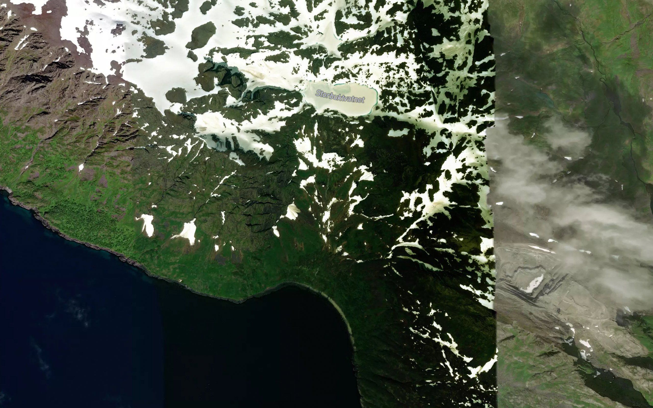 Storbuktelva