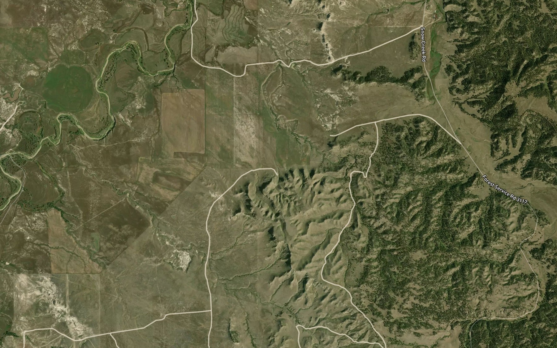 Satellite map of the Neece Spring