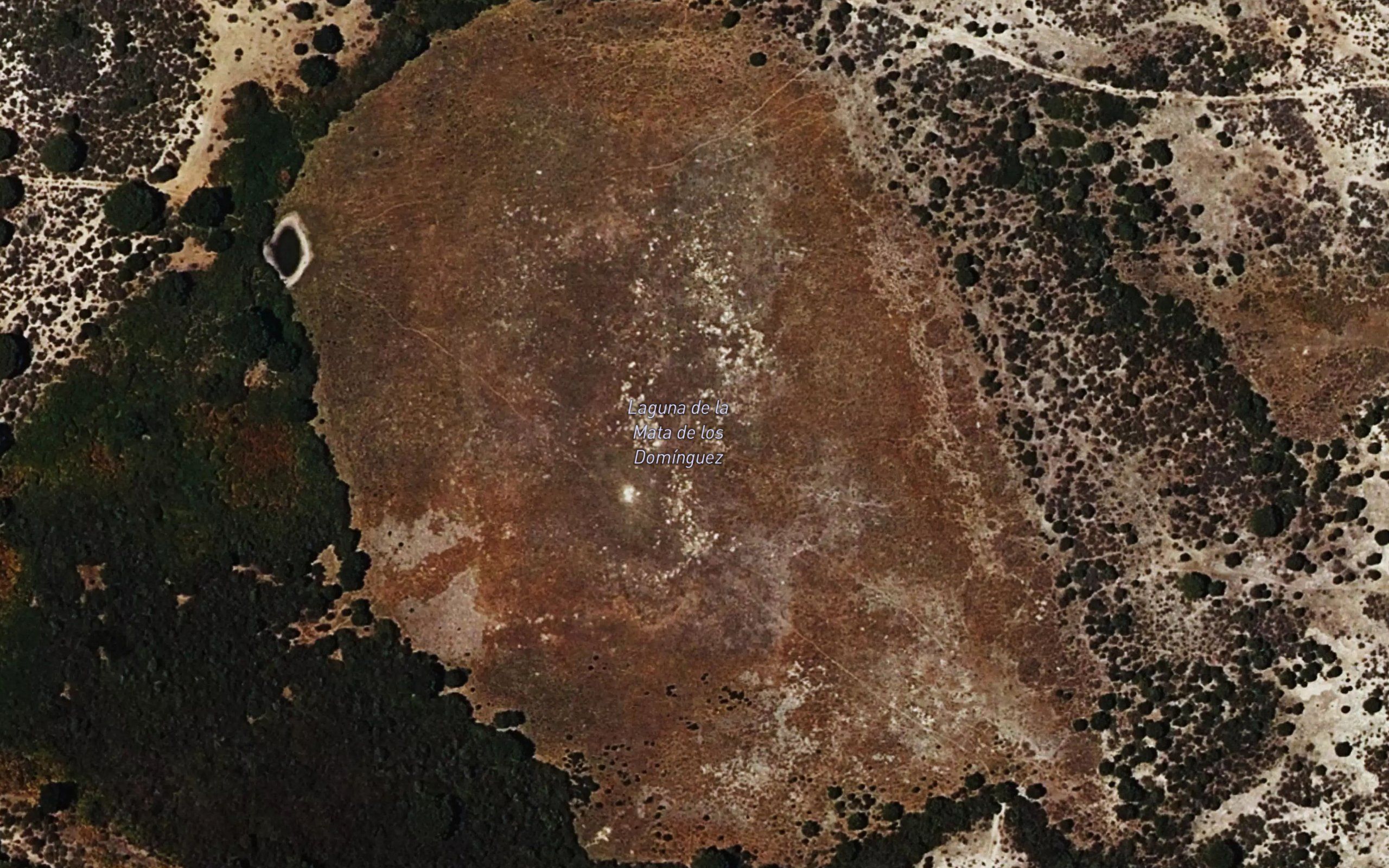 Laguna de la Mata de los Dominguez