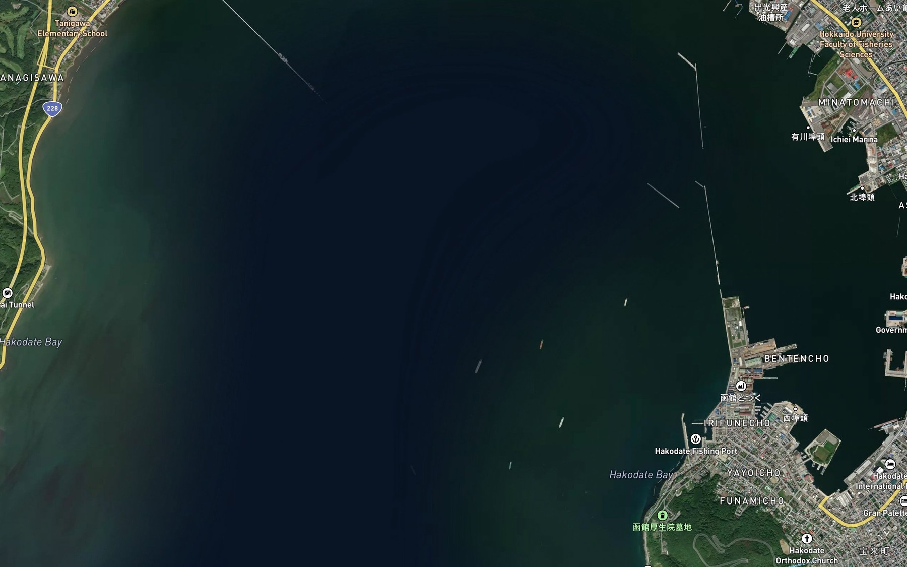 Satellite map of the Hakodate-wan