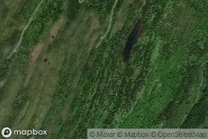 Little Mountain Pond