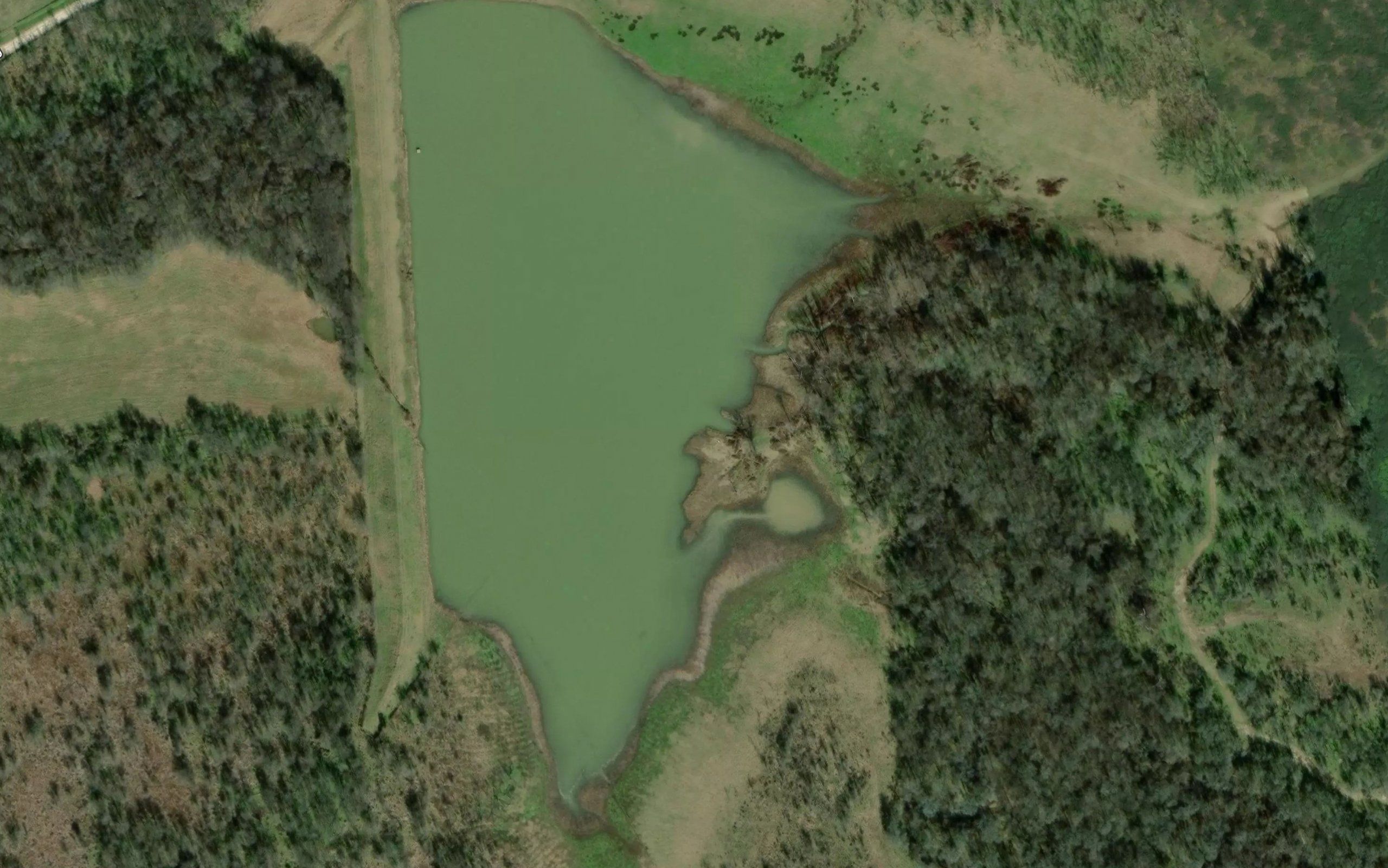 Soil Conservation Service Site 29 Reservoir
