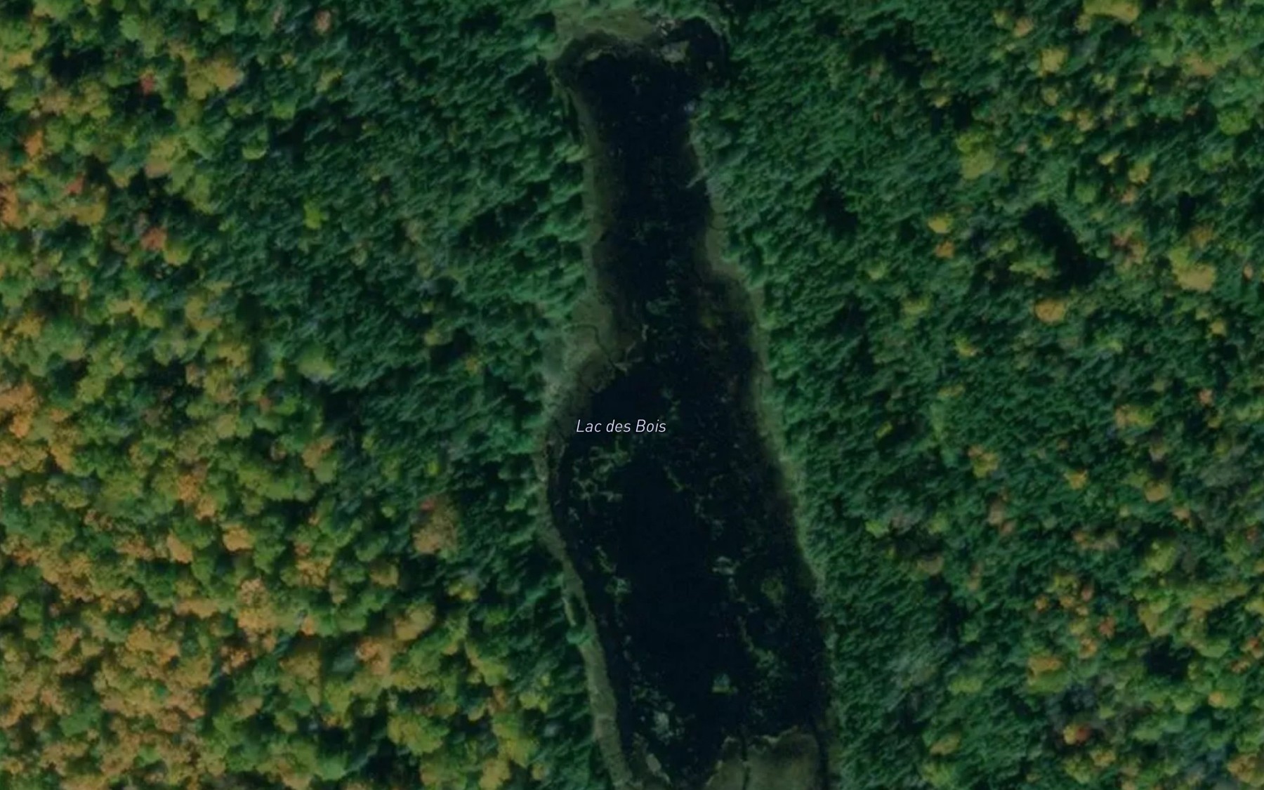 Satellite map of the Lac des Bois
