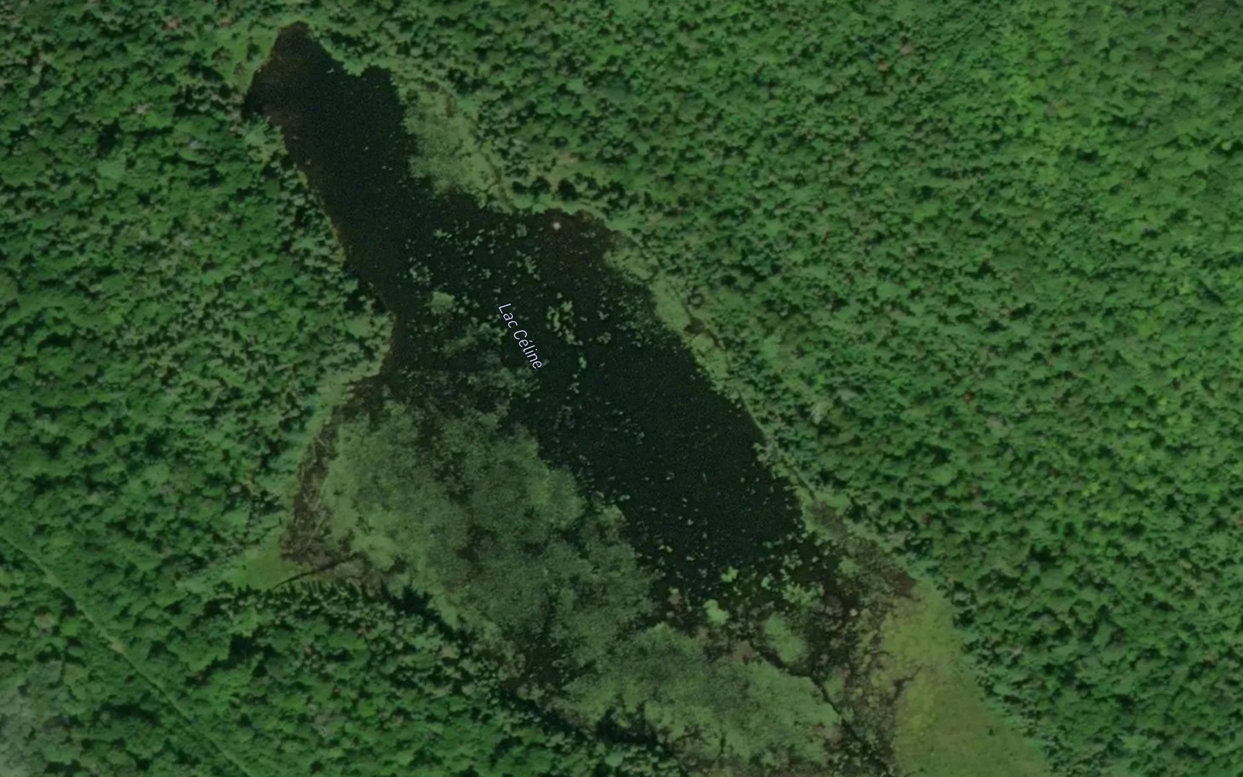 Satellite map of the Lac Celine