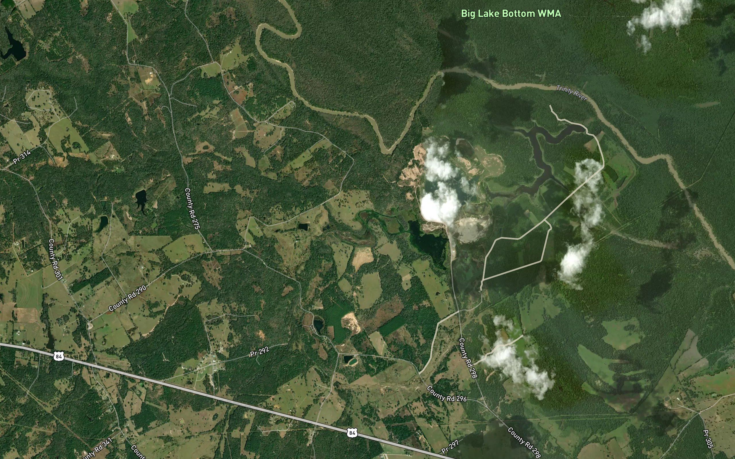 Saline Branch