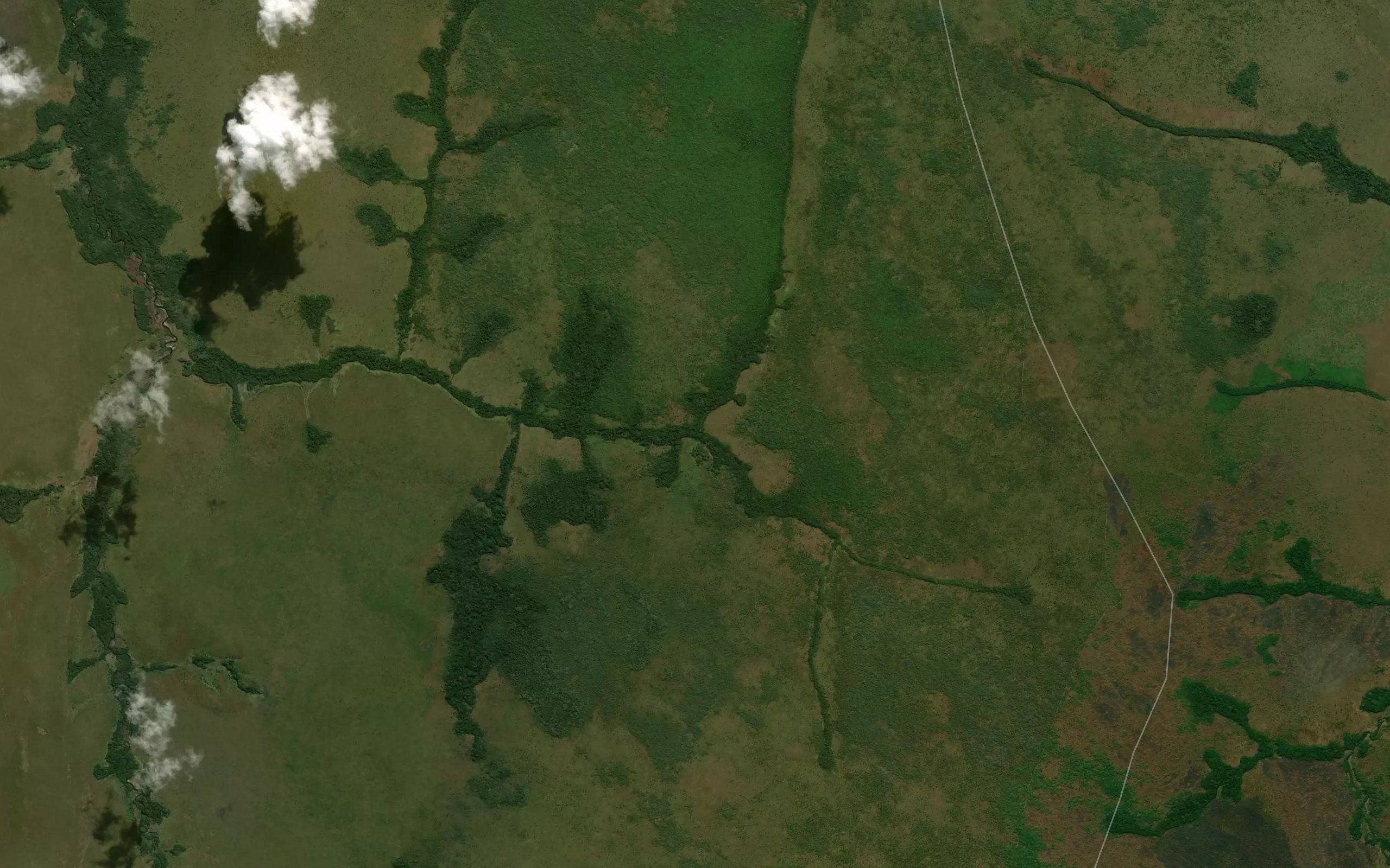 Kaymbungu