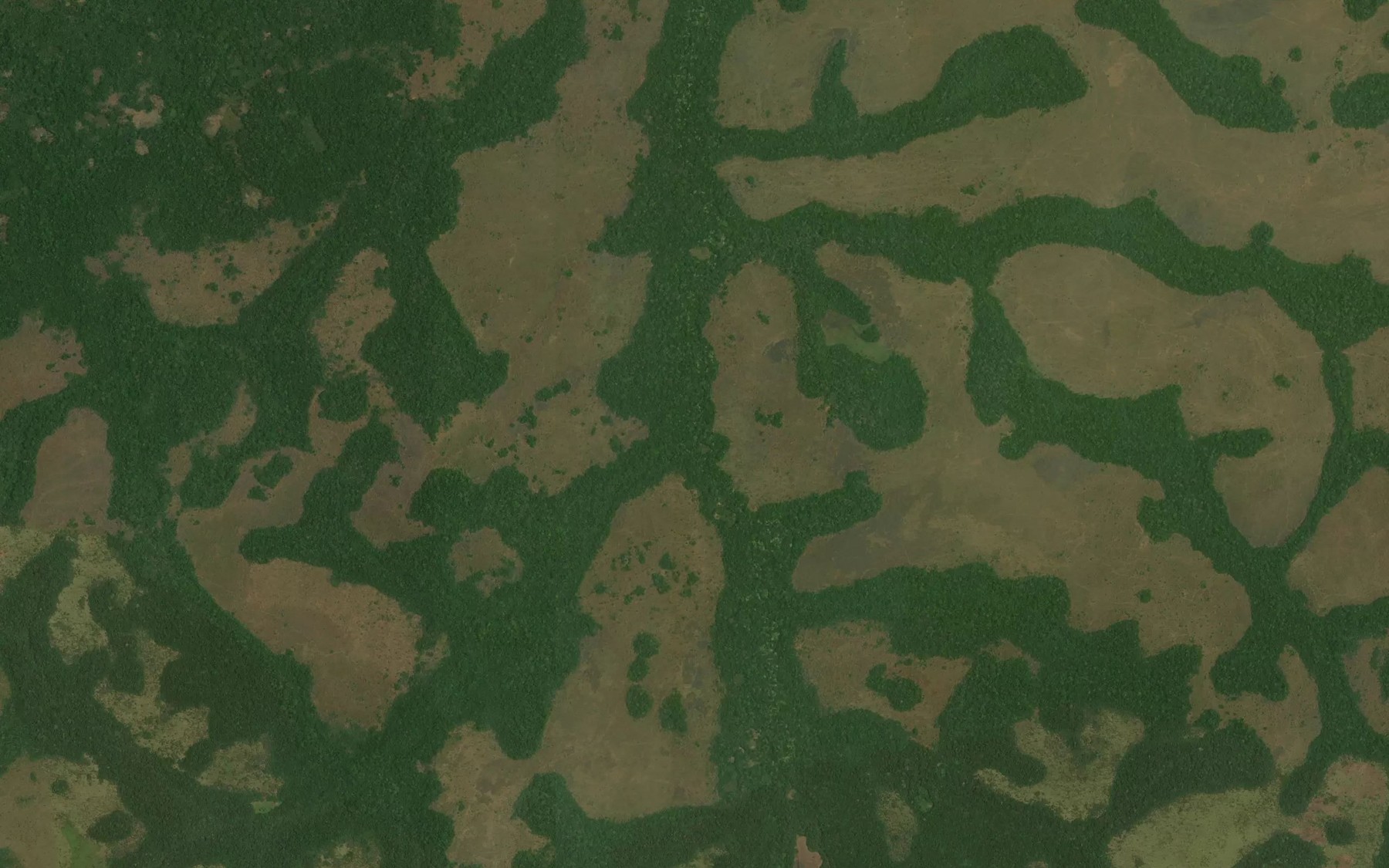 Satellite map of the Bengu