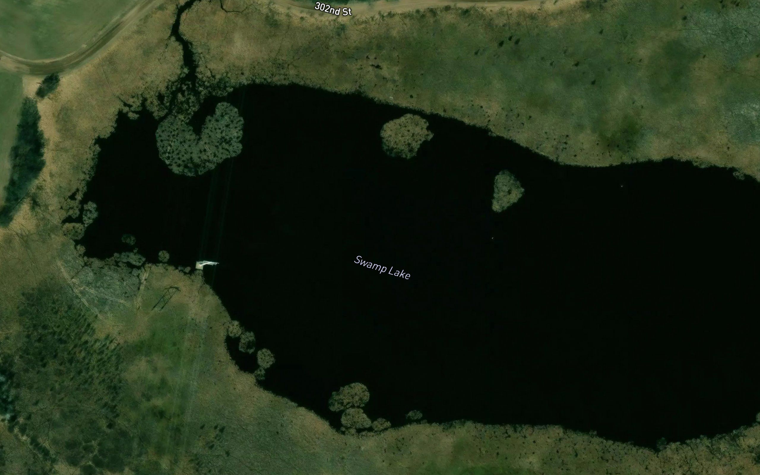 Swamp Lake