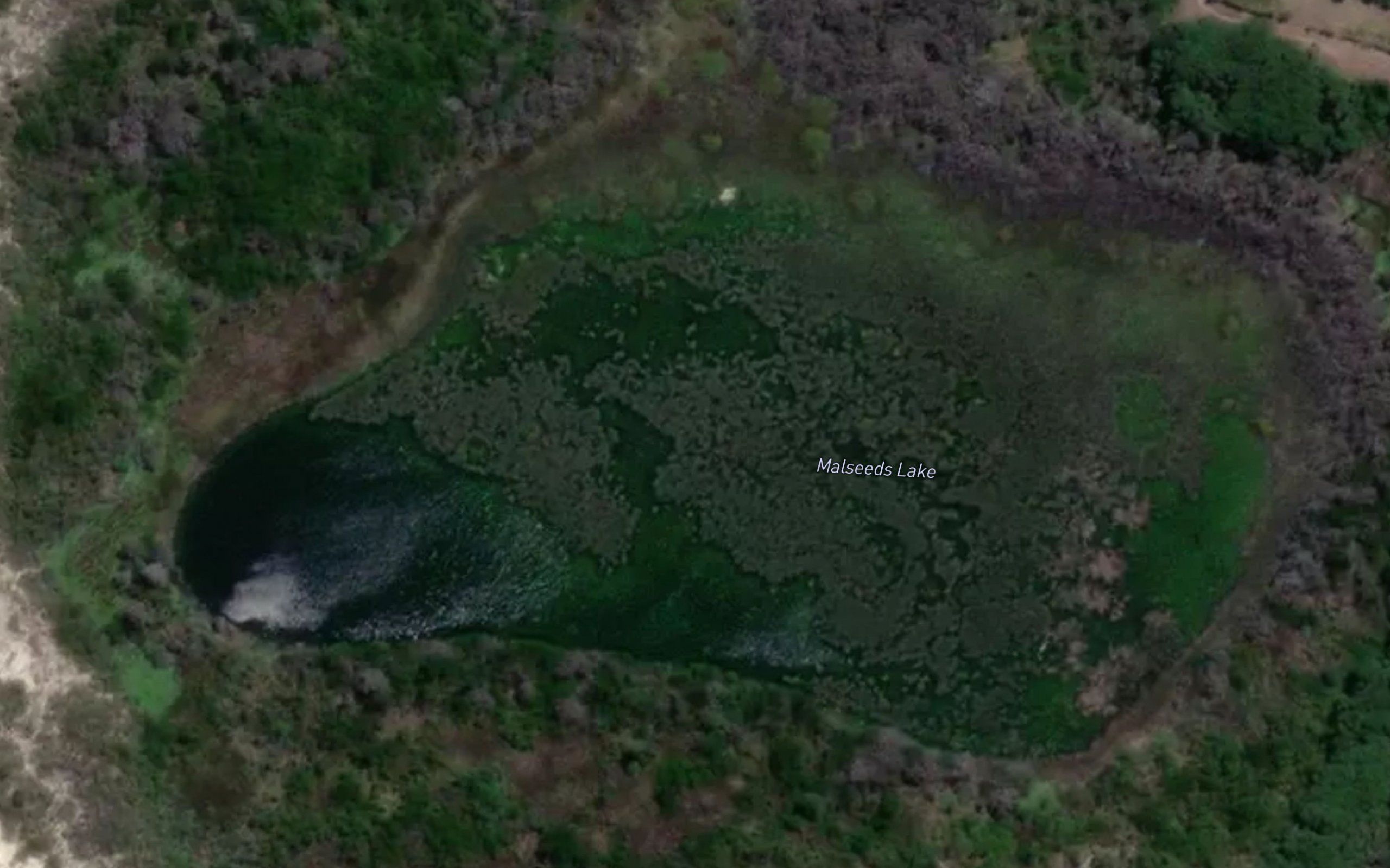 Malseeds Lake