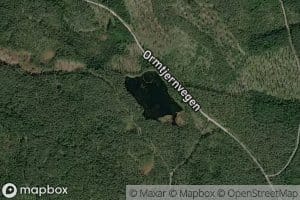 Ormtjernet