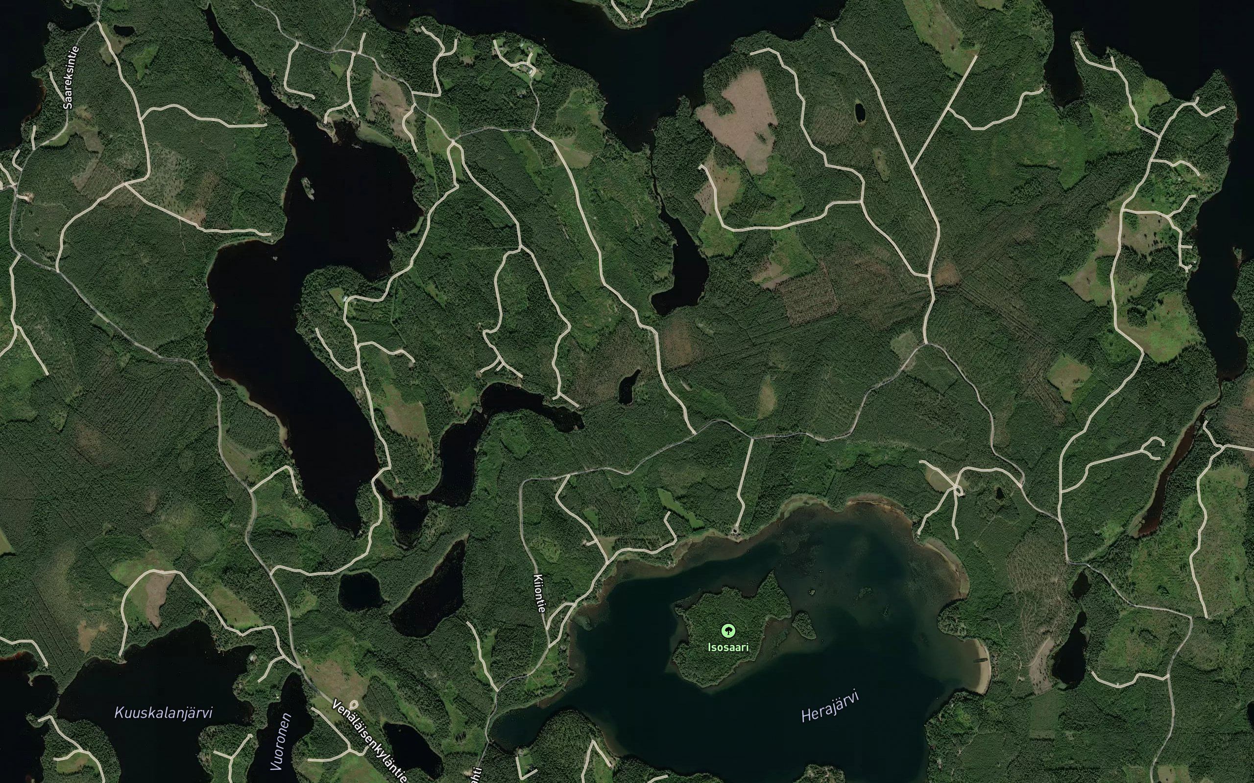 Haukilampi