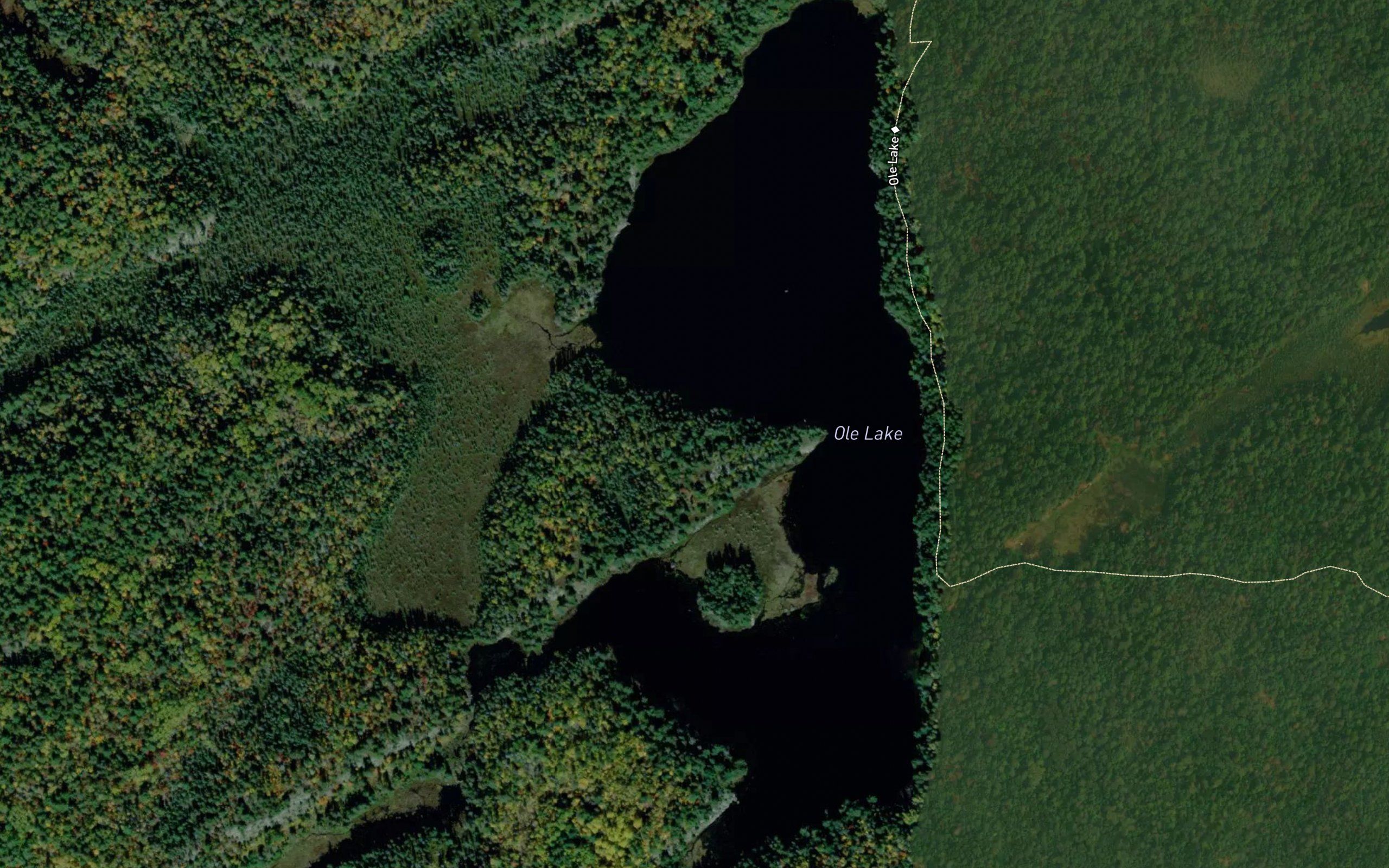 Ole Lake