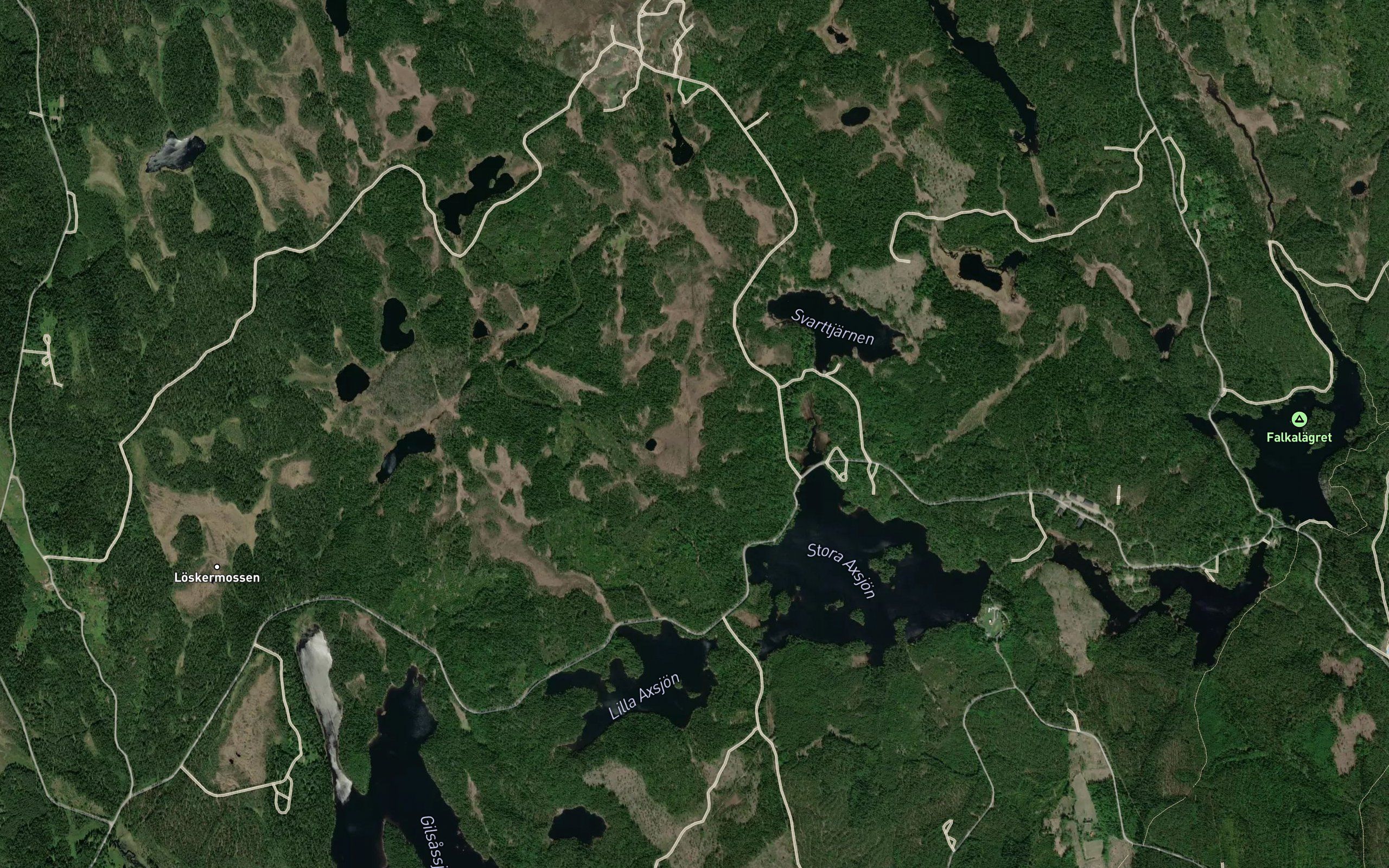 Svarttjarn