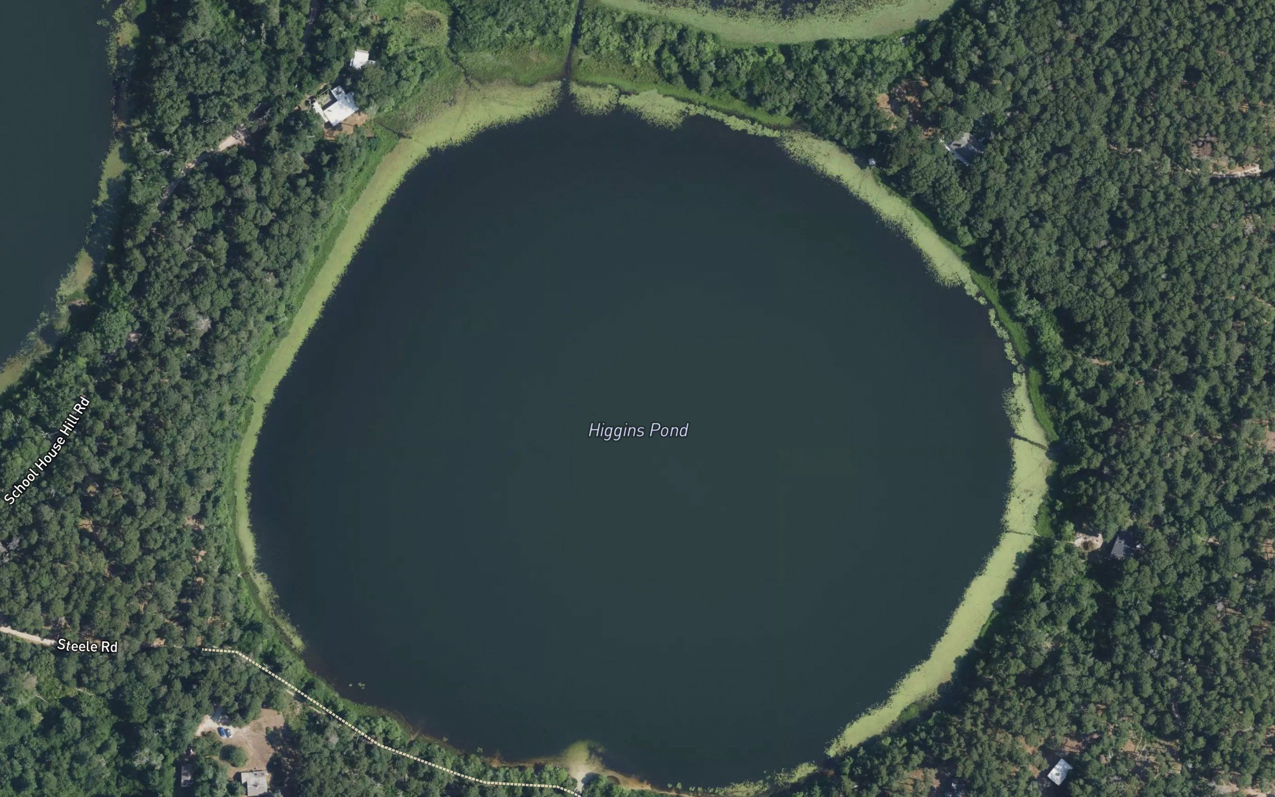 Higgins Pond