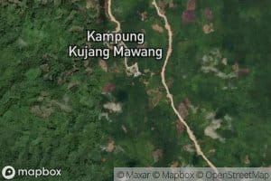 Sungai Entama