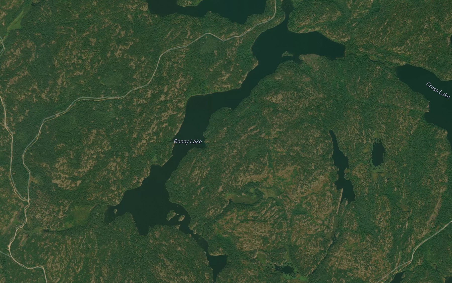 Satellite map of the Ronny Lake