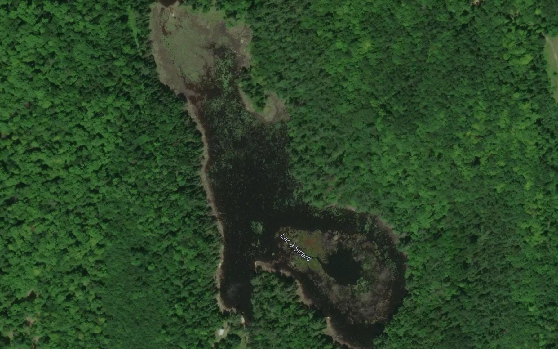 Satellite map of the Lac a Sicard
