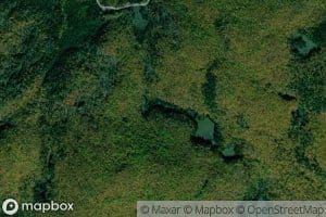 Lac Deer