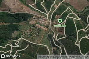 Mhlatane