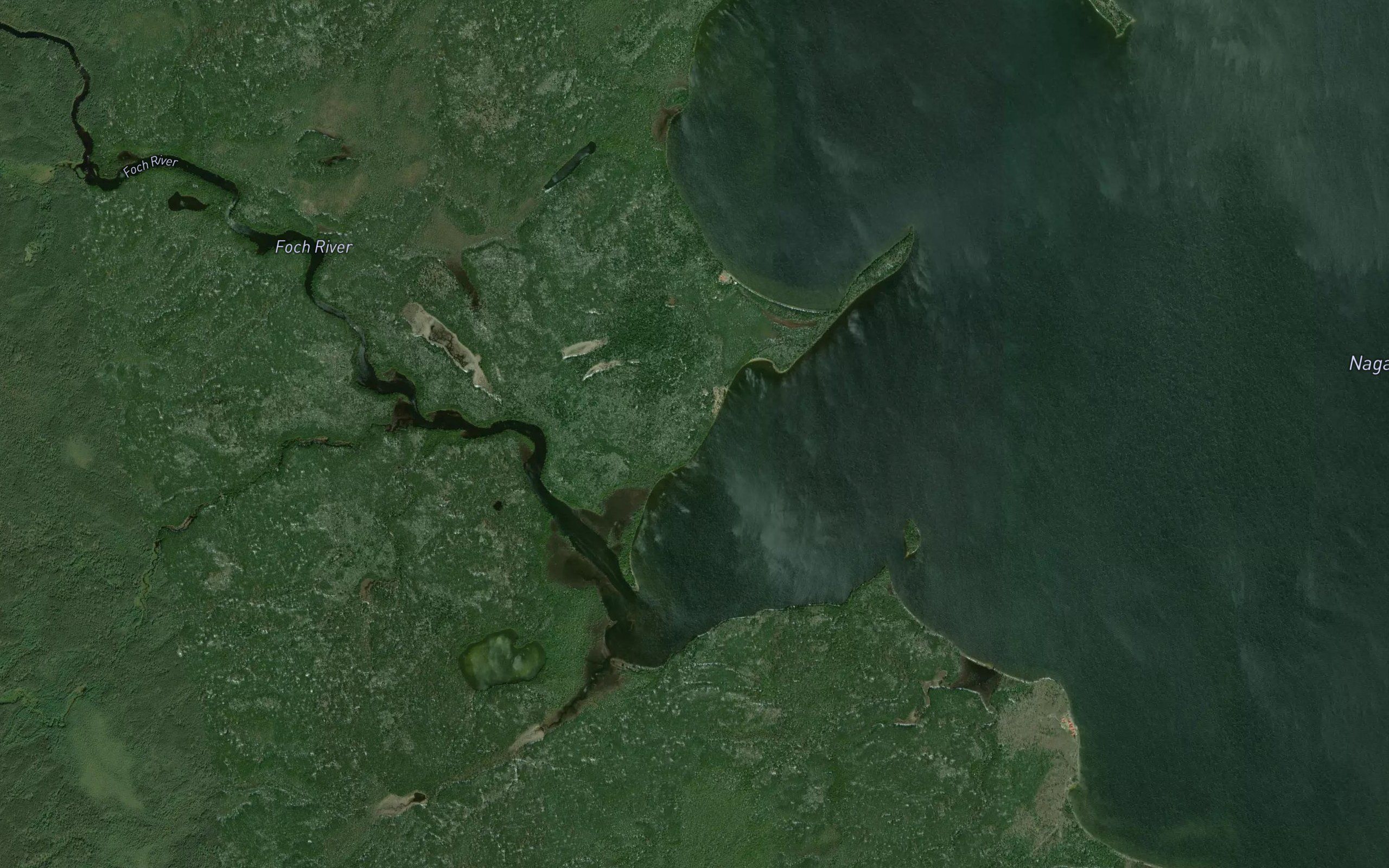 Foch River