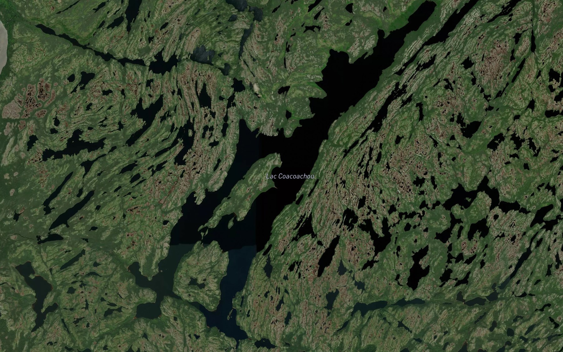Satellite map of the Lac Coacoachou