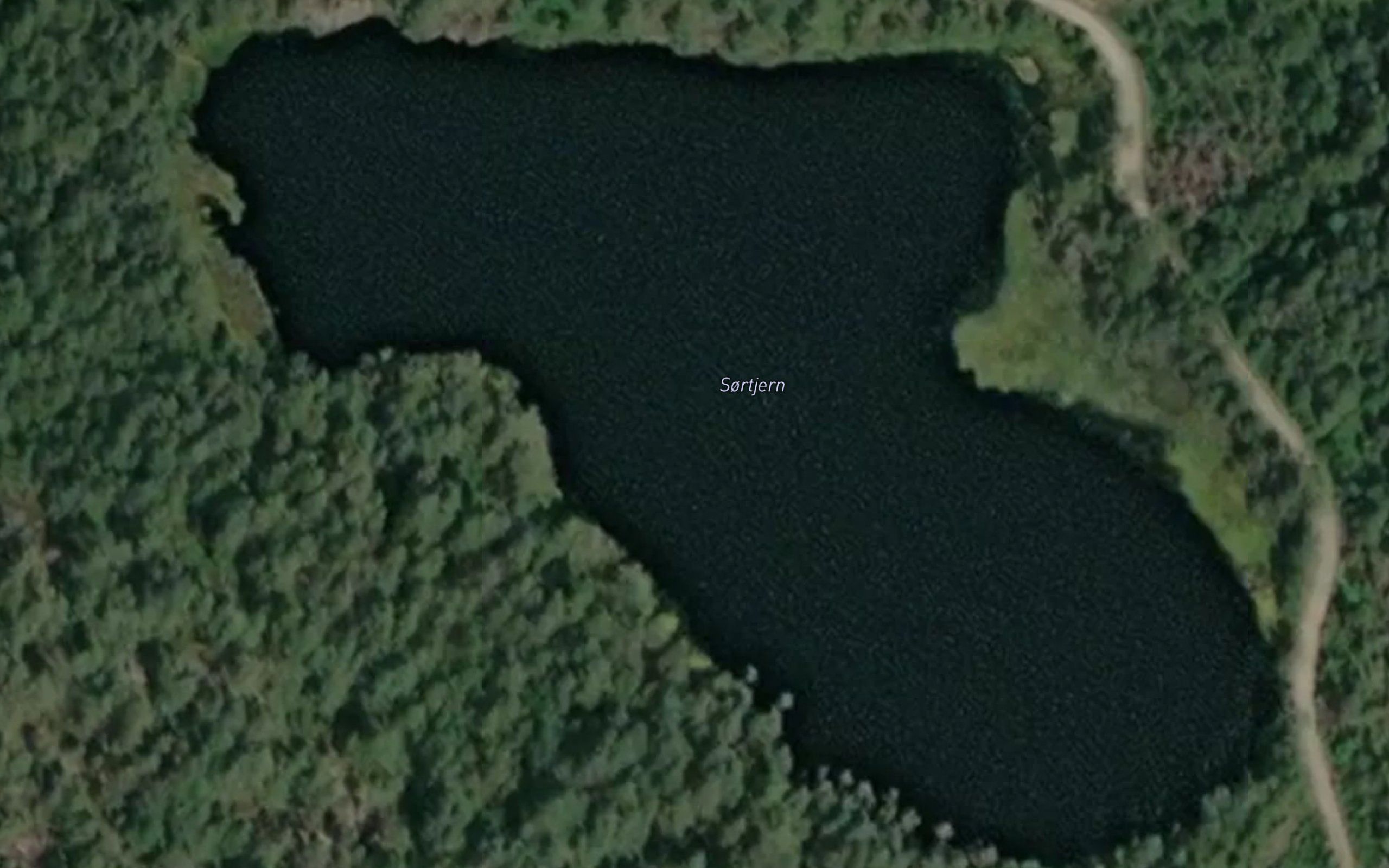 Sortjern