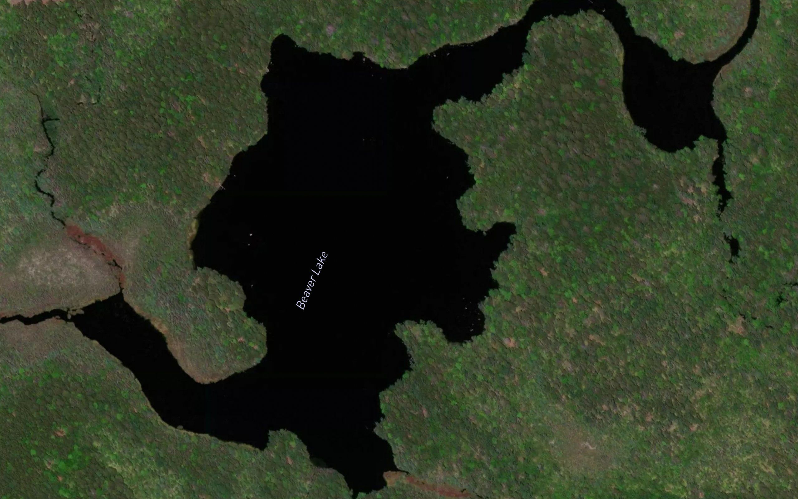 Beaver Lake