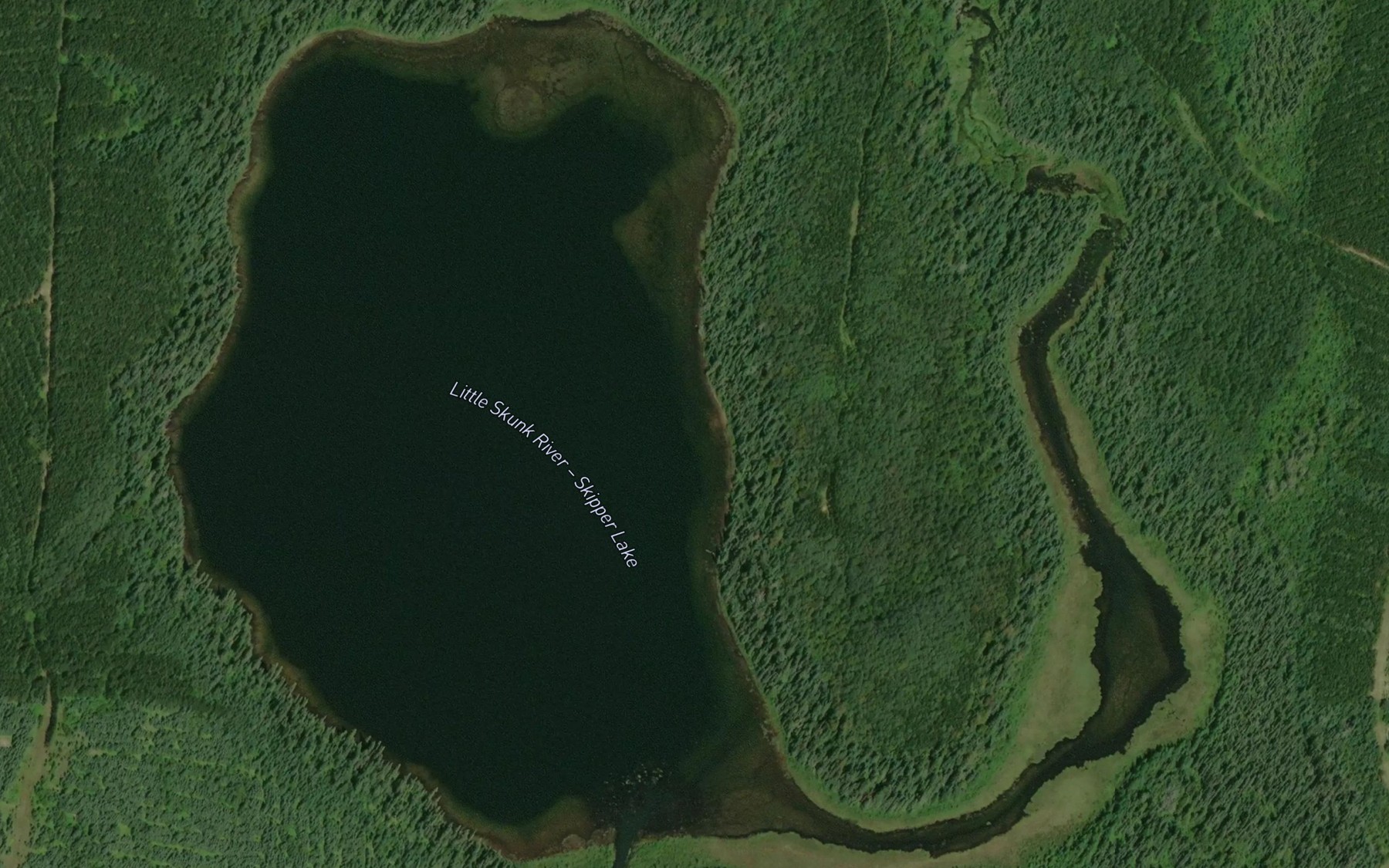 Satellite map of the Skipper Lake