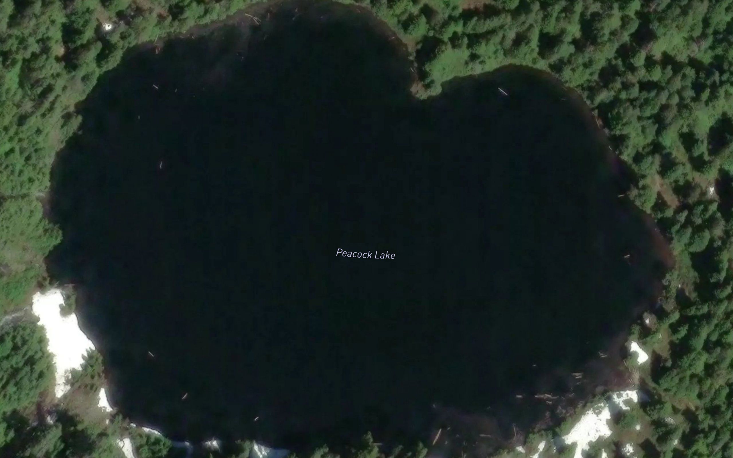 Peacock Lake