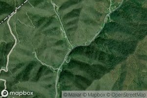 Grassy Spring Branch