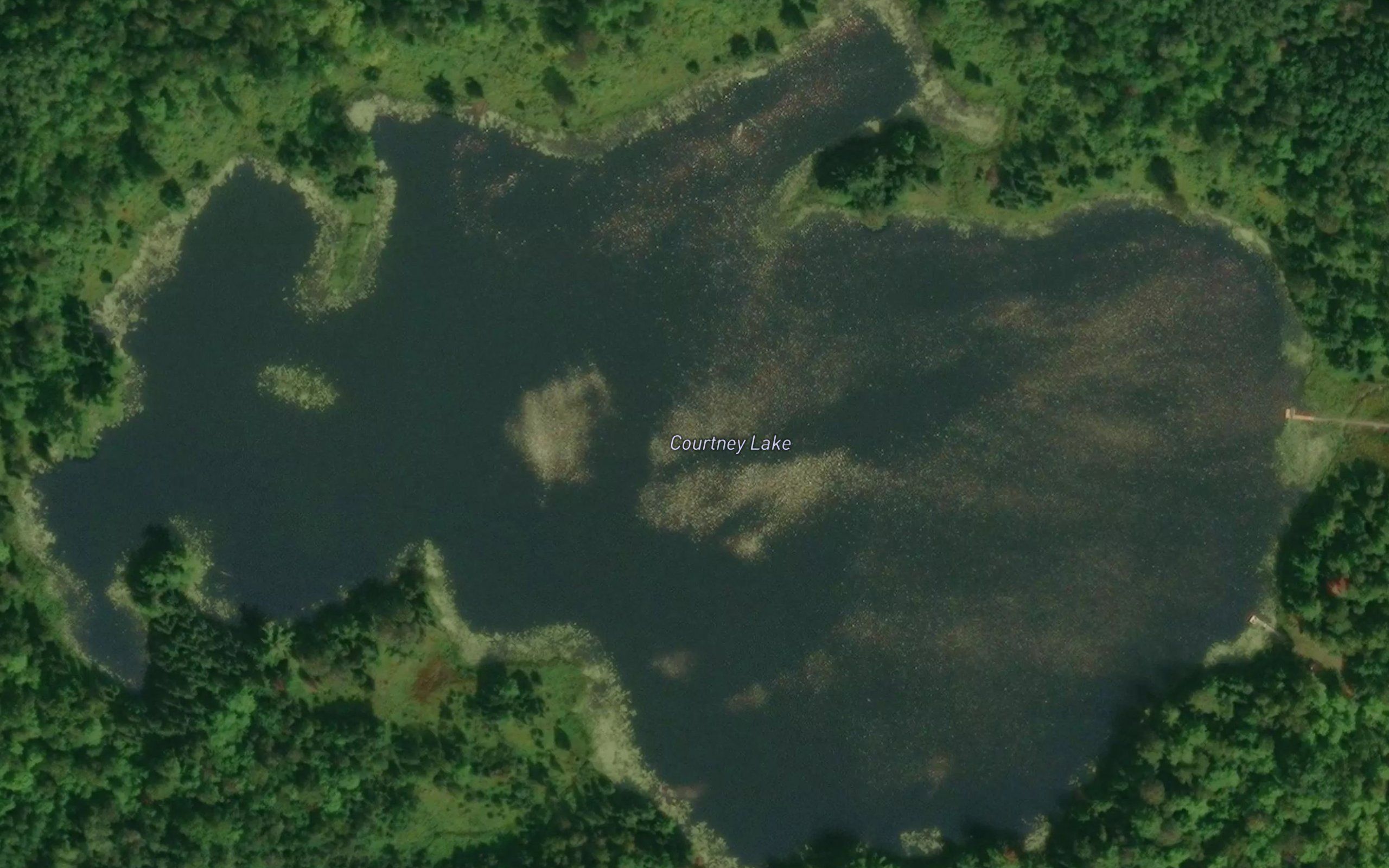 Courtney Lake