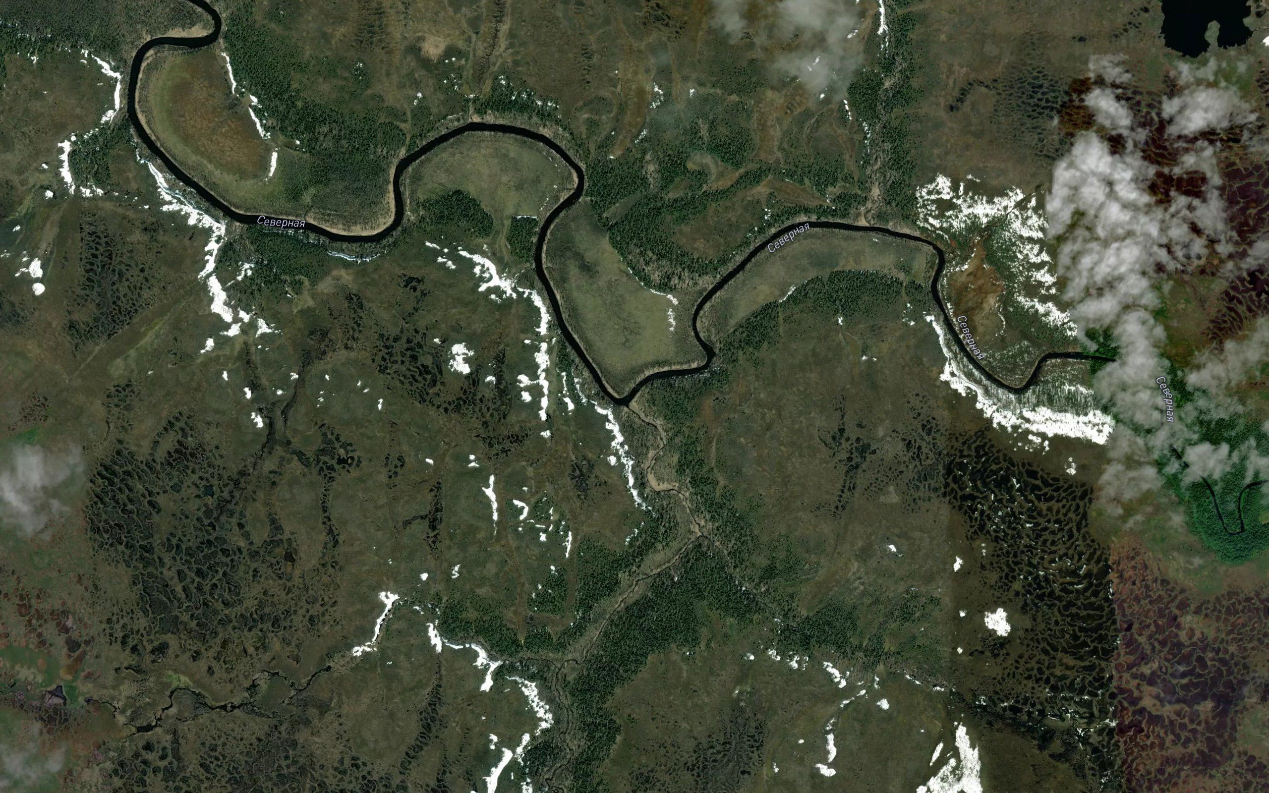 Mutnaya