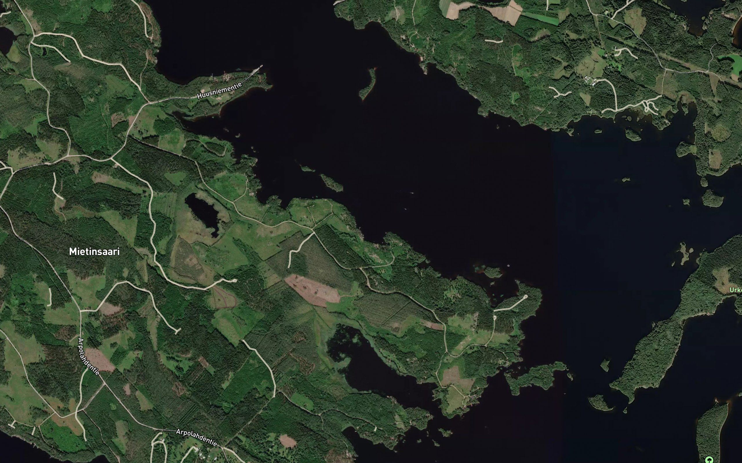 Rapalahti