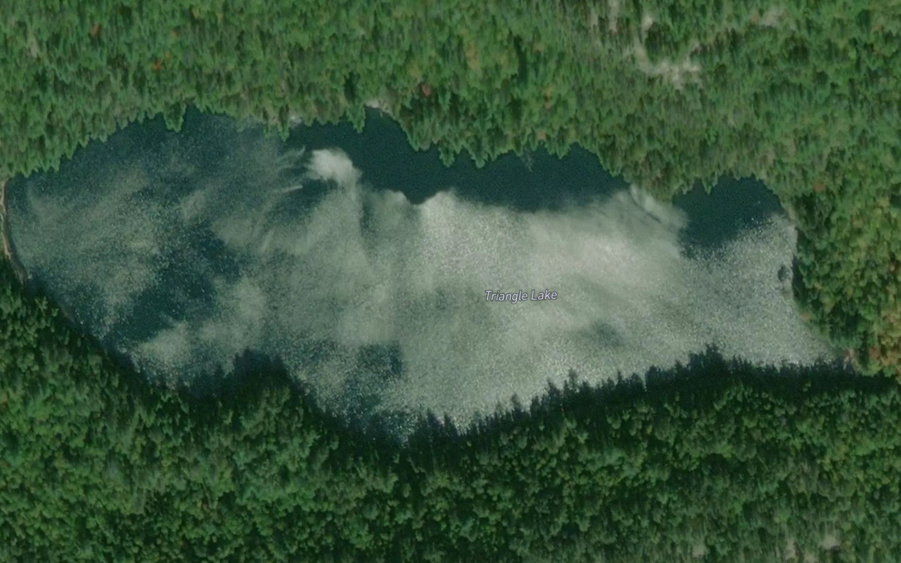 Satellite map of the Triangle Lake