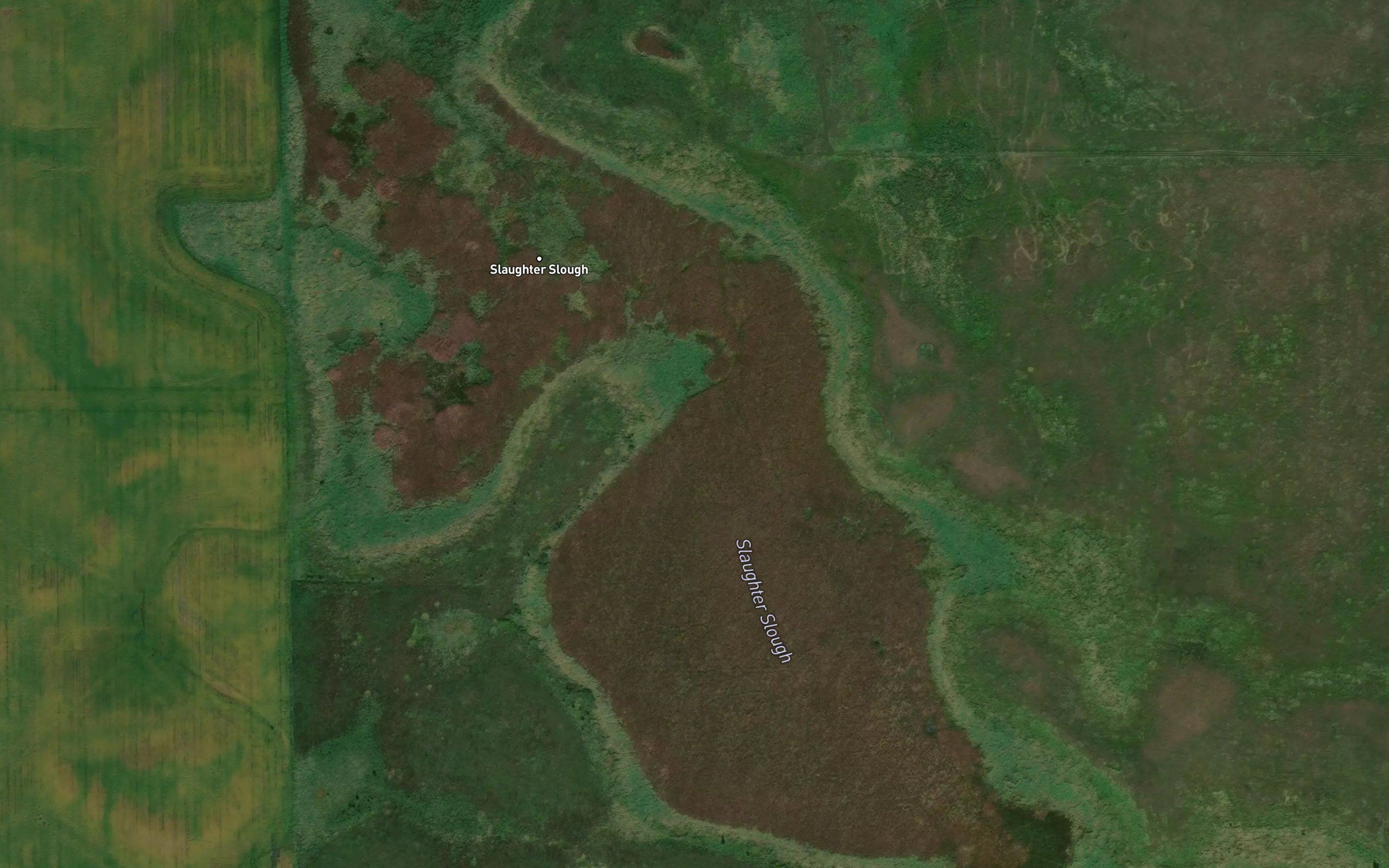 Slaughter Slough