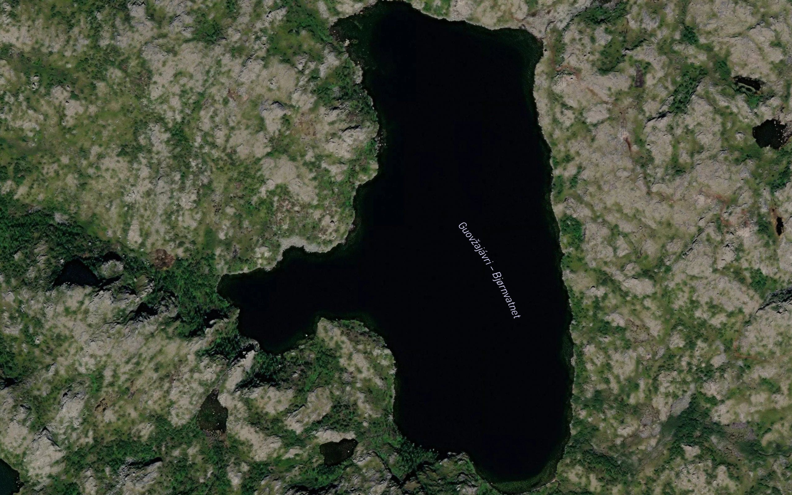 Guovnajavri