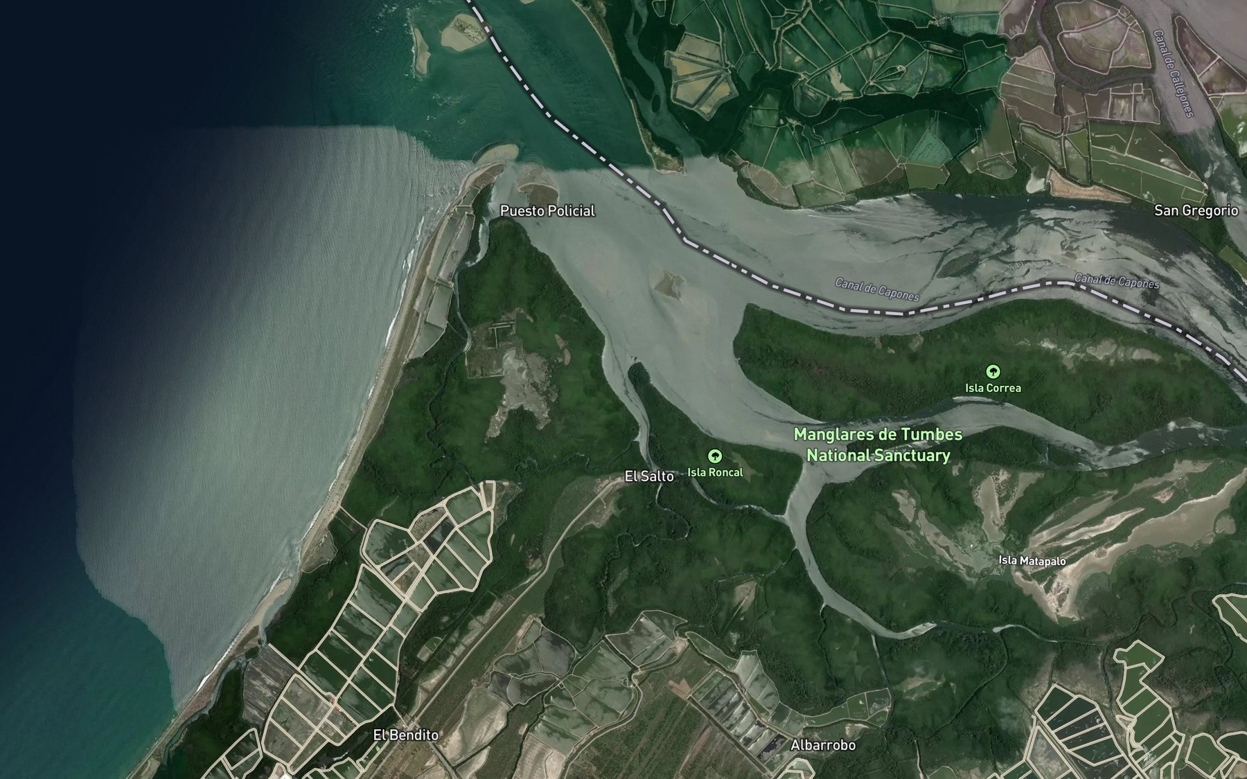 Satellite map of the Estero Juanita