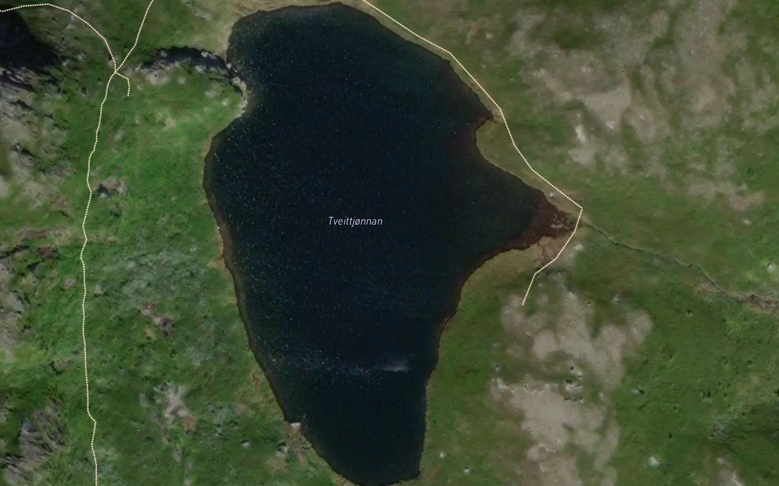 Tveittjorn