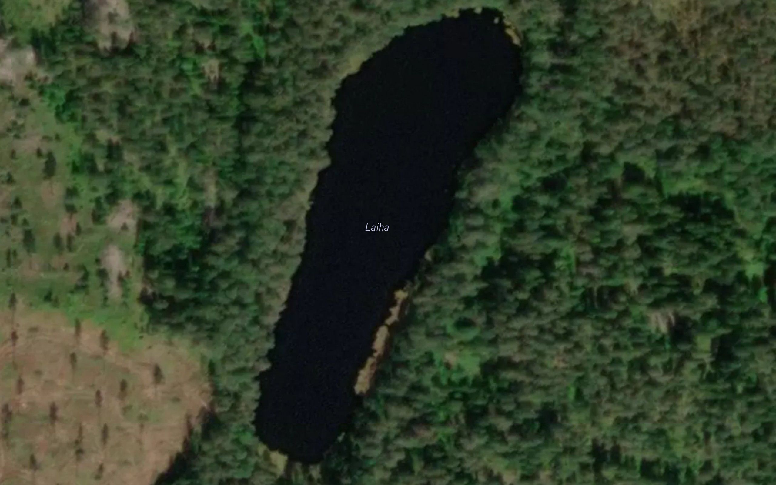 Laiha