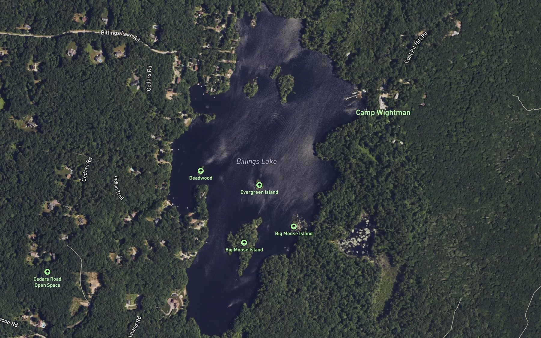 Satellite map of the Billings Lake