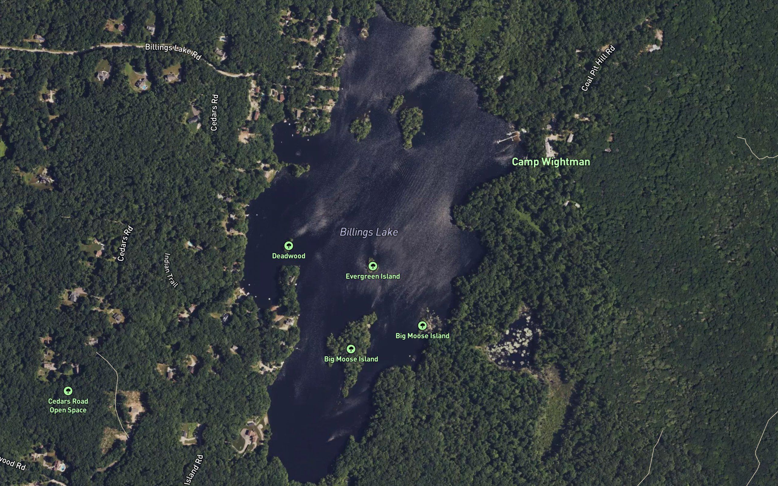 Billings Lake