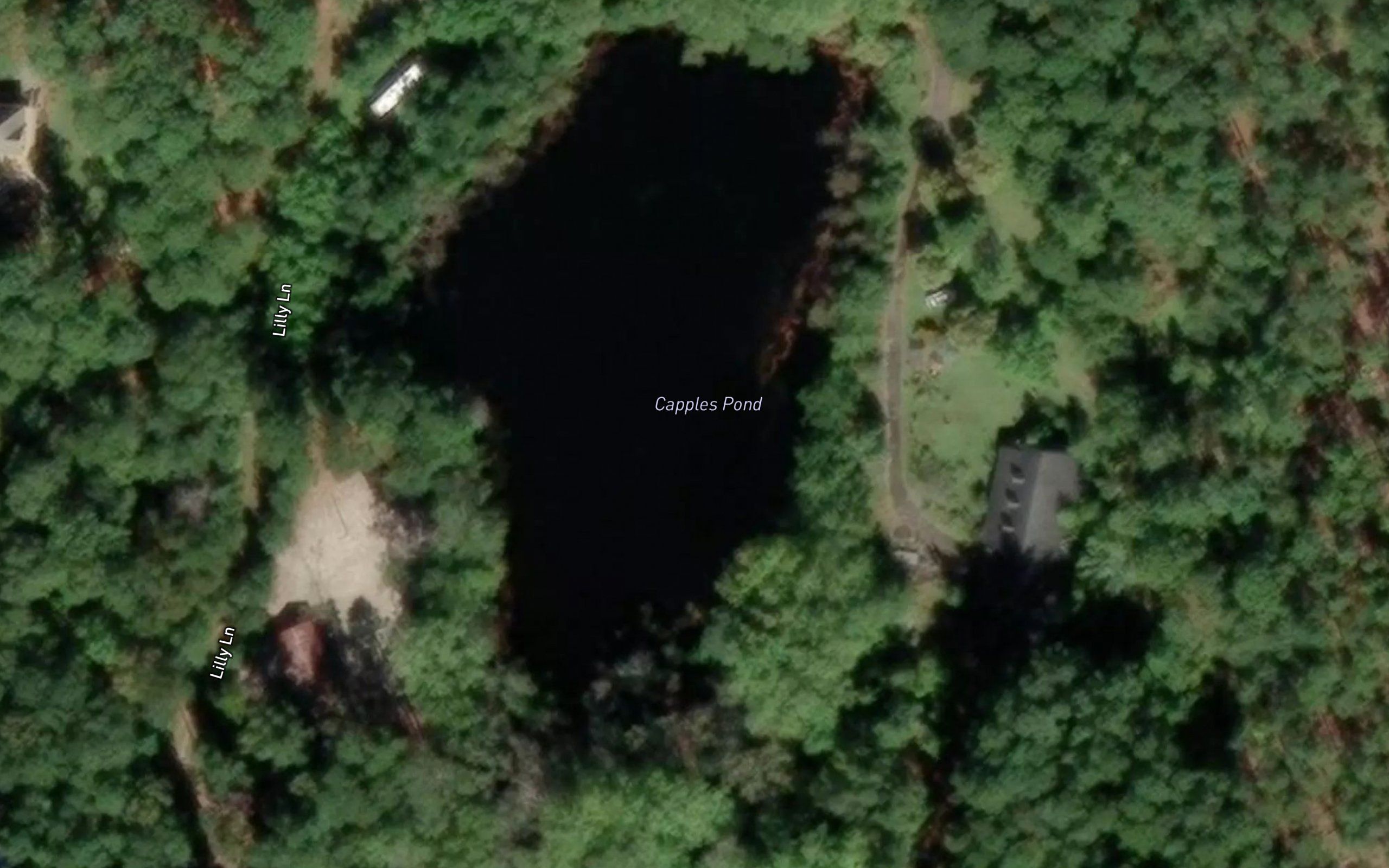 Capples Pond