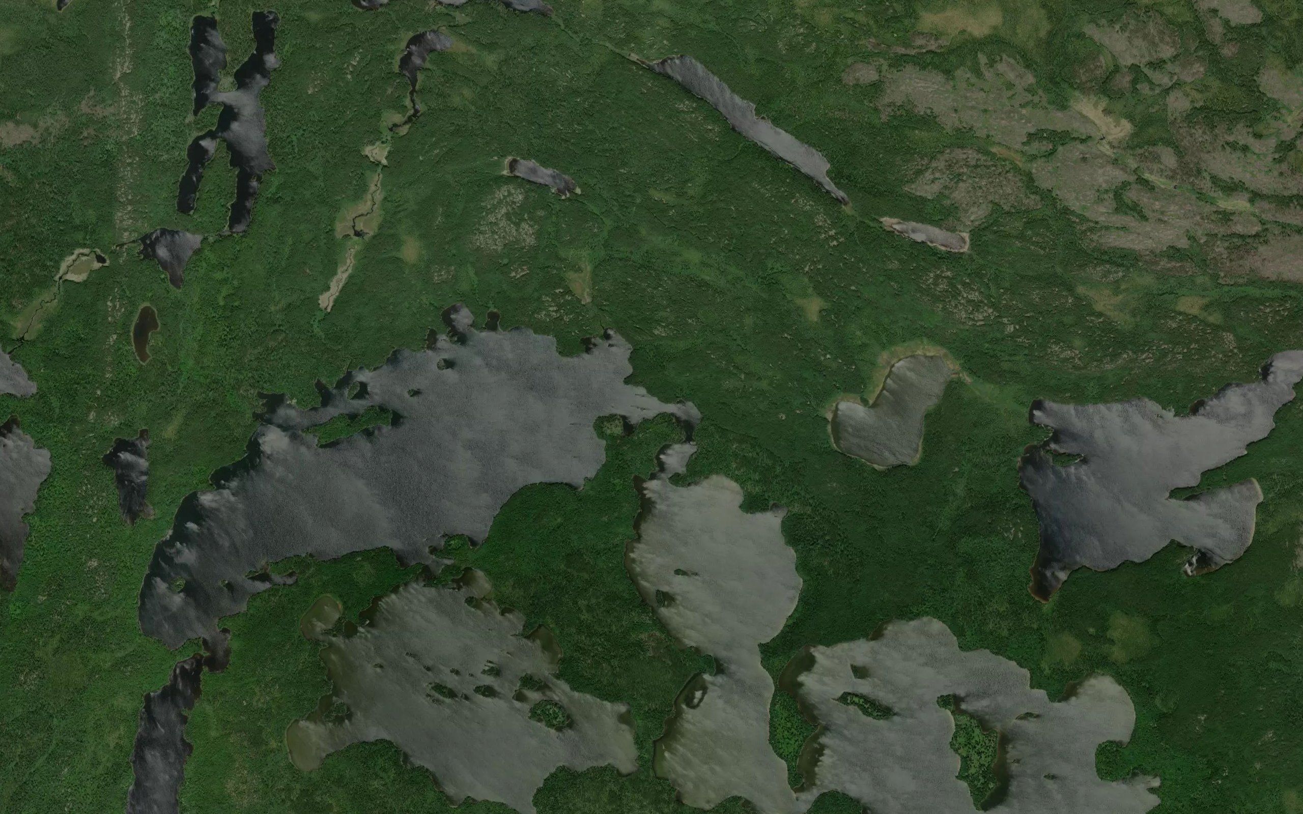 Mink Lake