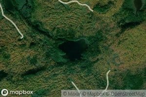 Trickey Ponds