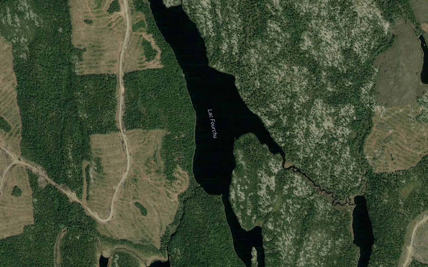 Satellite map of the Lac Fourchu