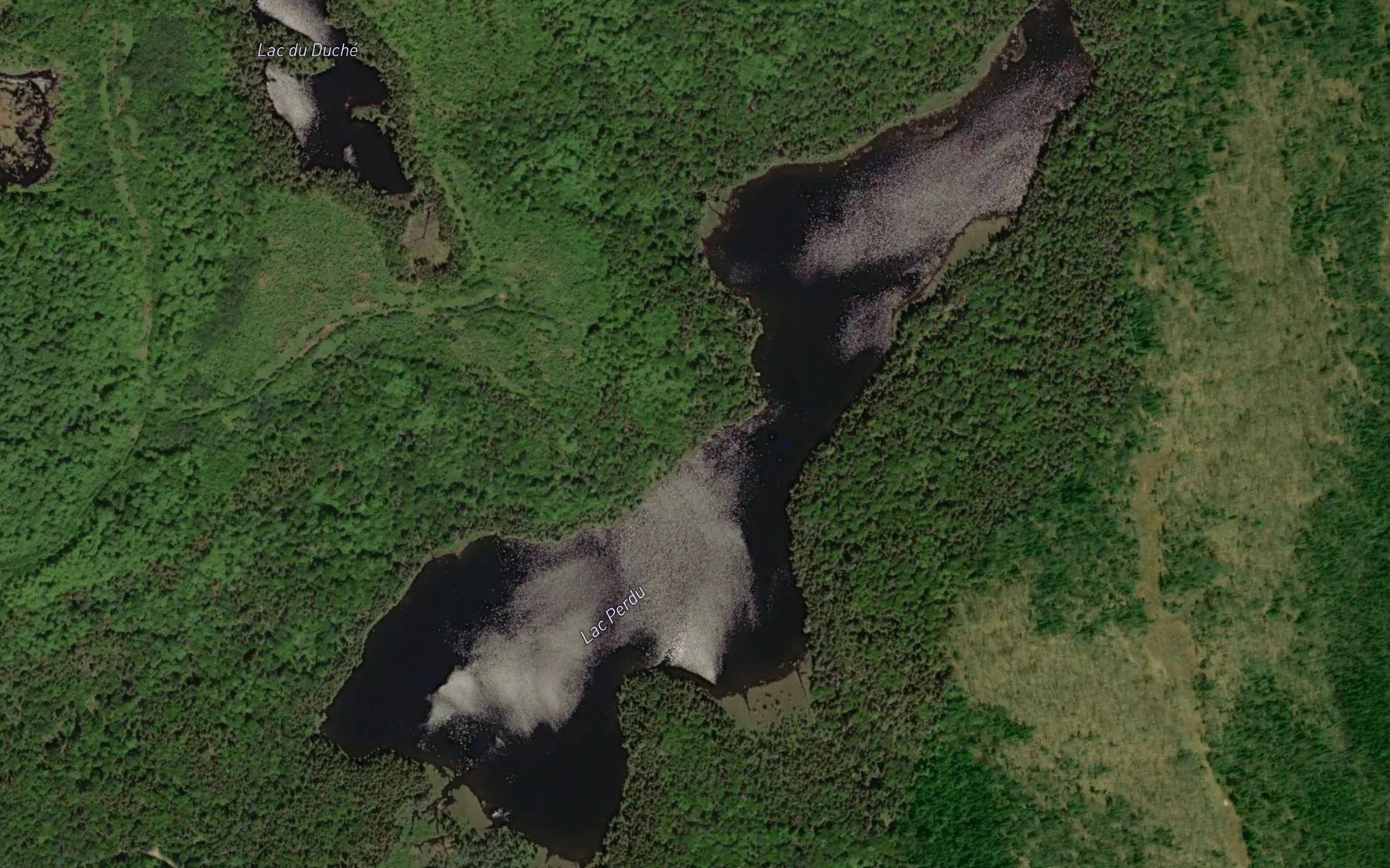 Satellite map of the Lac Perdu