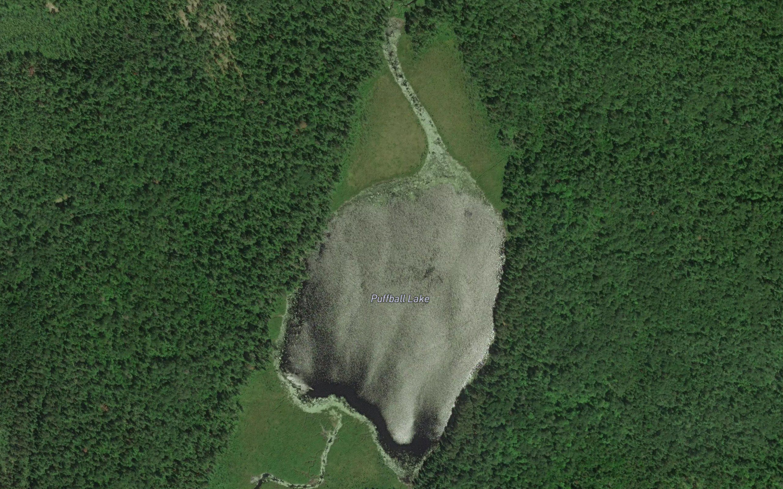 Puffball Lake