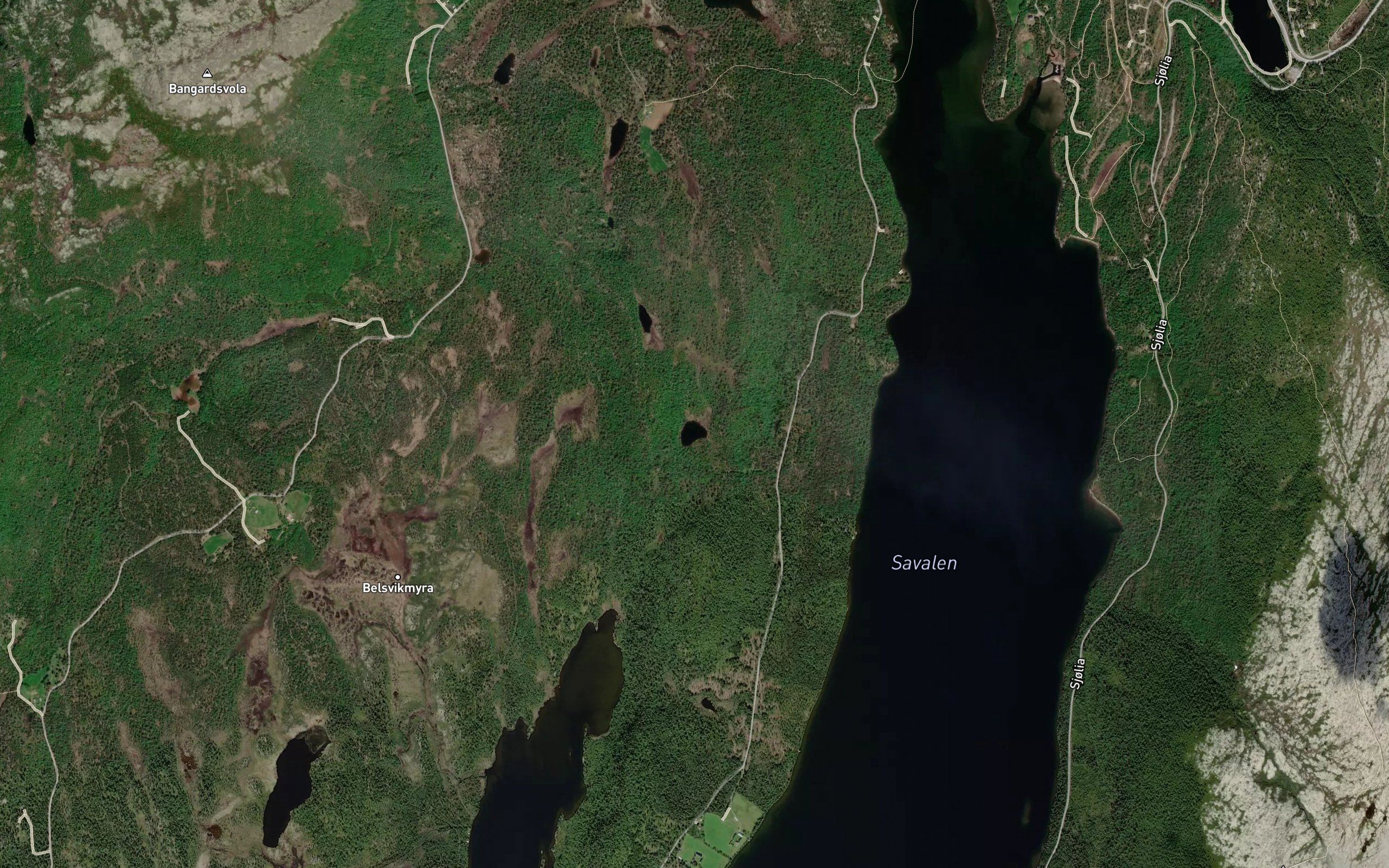 Hestotjorna