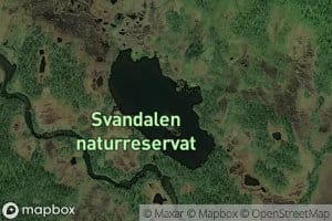 Steinvatnet