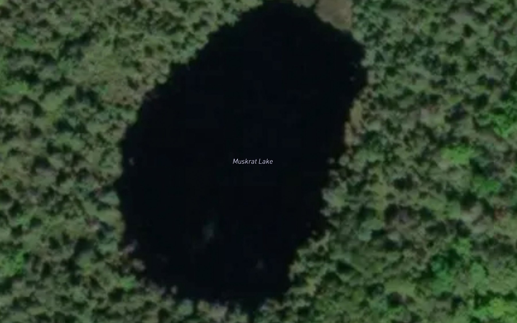 Satellite map of the Muskrat Lake